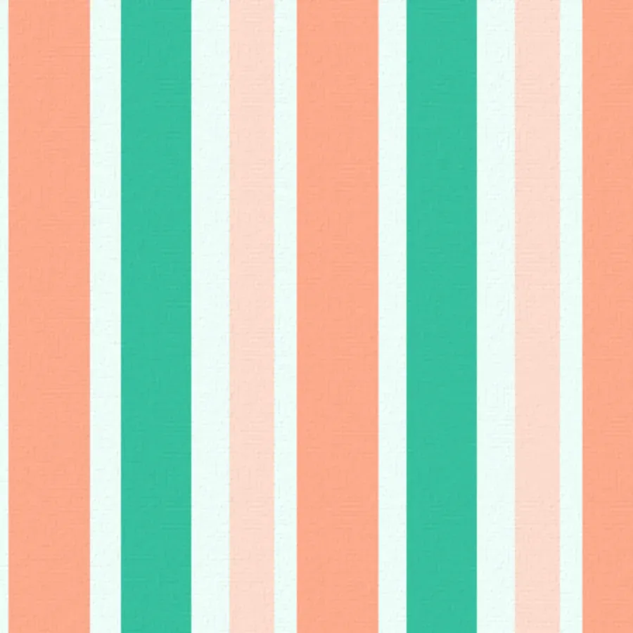 Shrimply the Best card inside left