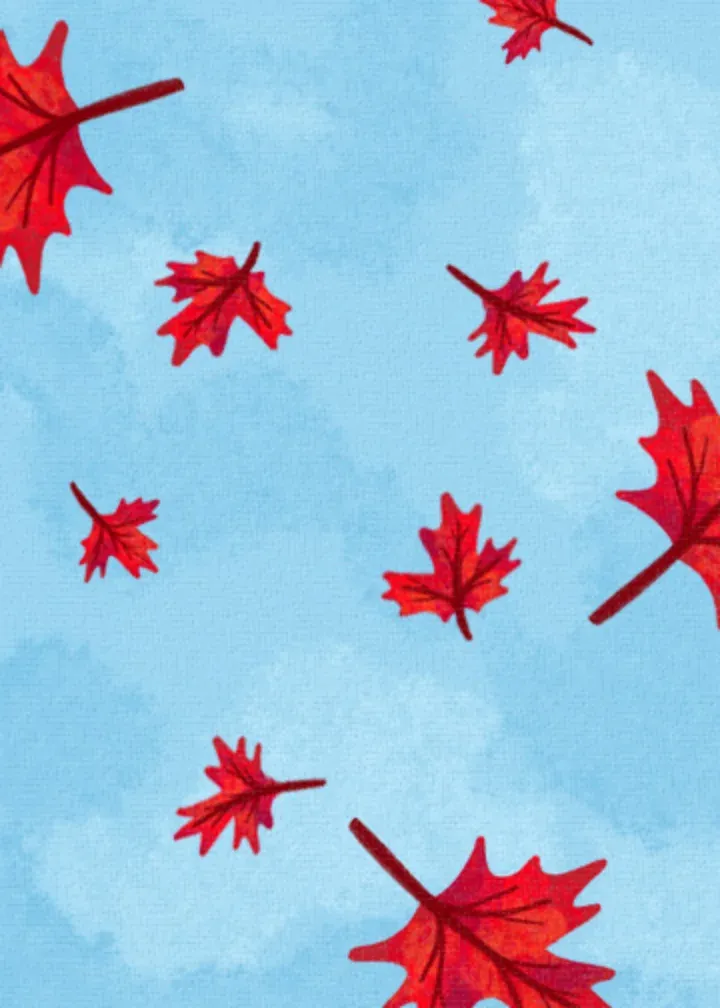 Canada Day Leaves card inside left