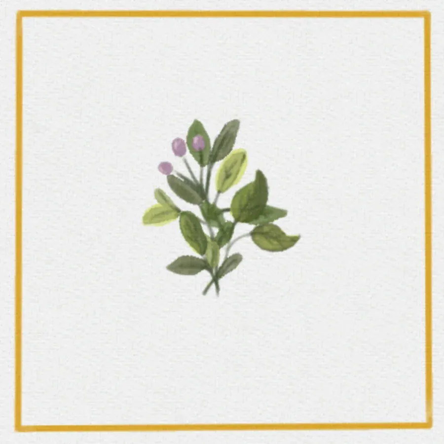 Confirmation card inside left