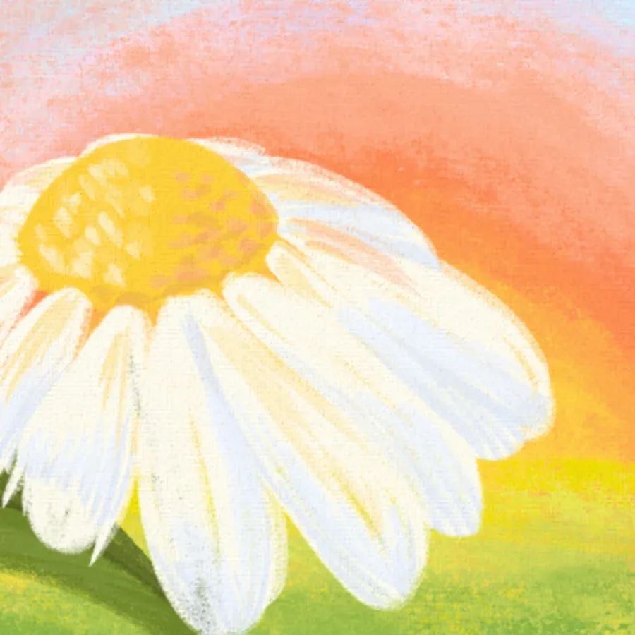 Love Bug Daughter card inside left