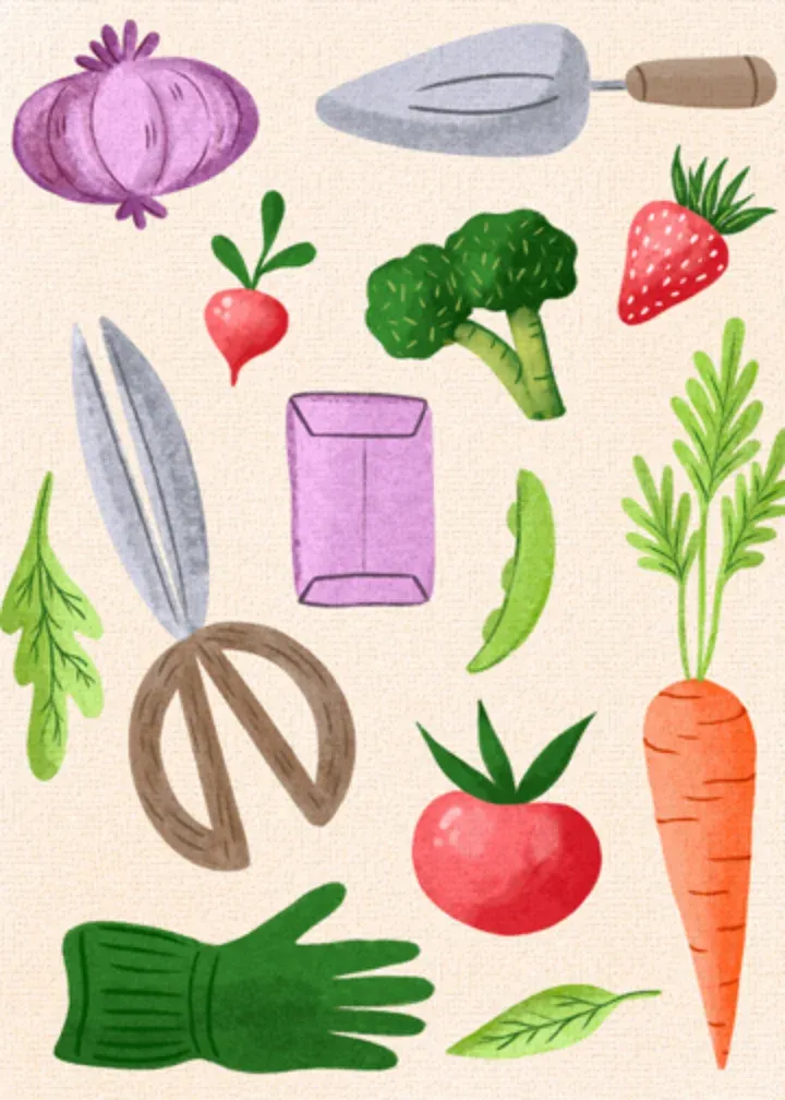 Father-in-Law Pick card inside left