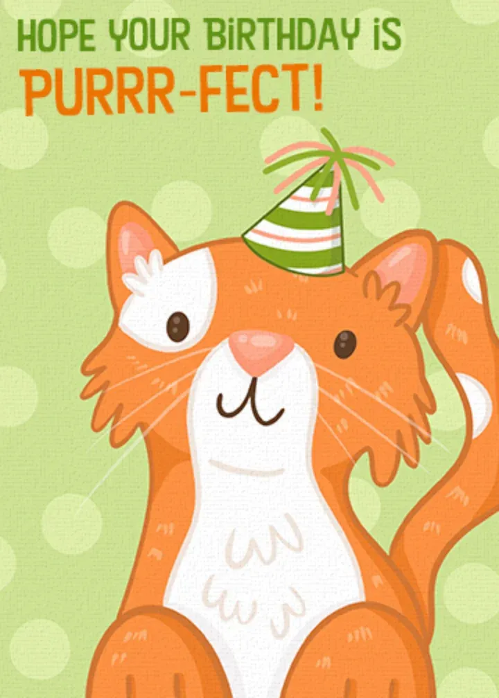Cat Birthday card front