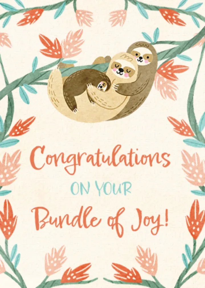 Baby Sloth card front