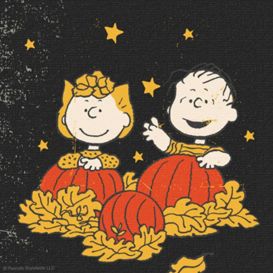 Peanuts | Halloween card inside left