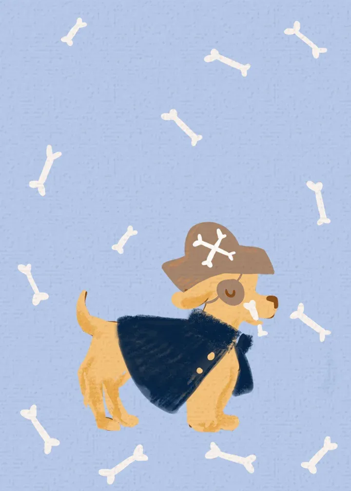 Barrk Like a Pirate card inside left