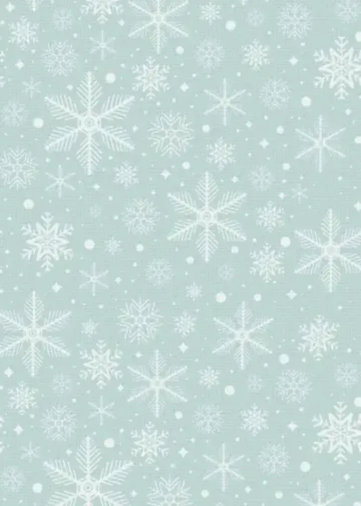 Christmas Polaroid card inside left