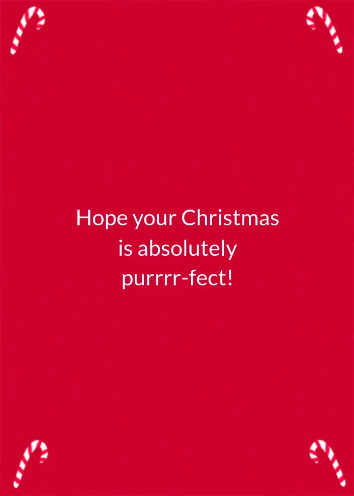 Meowy Christmas card inside right