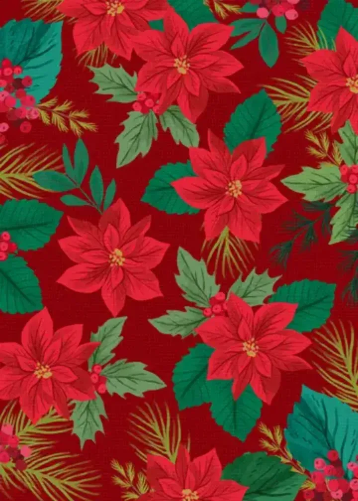 1st Married Christmas card inside left