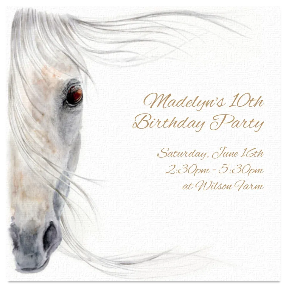 Beautiful Horse card