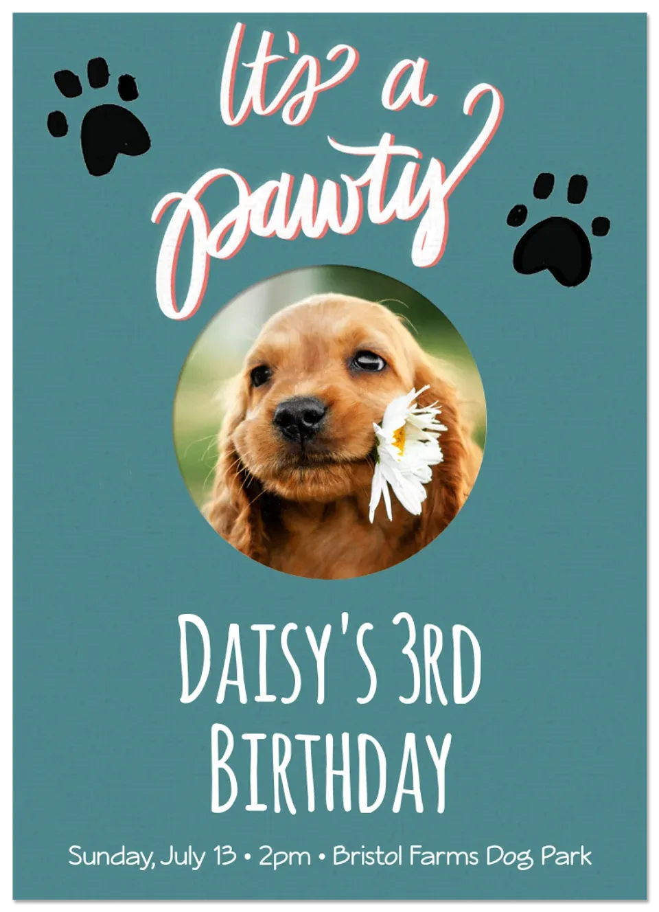 Dog Birthday card