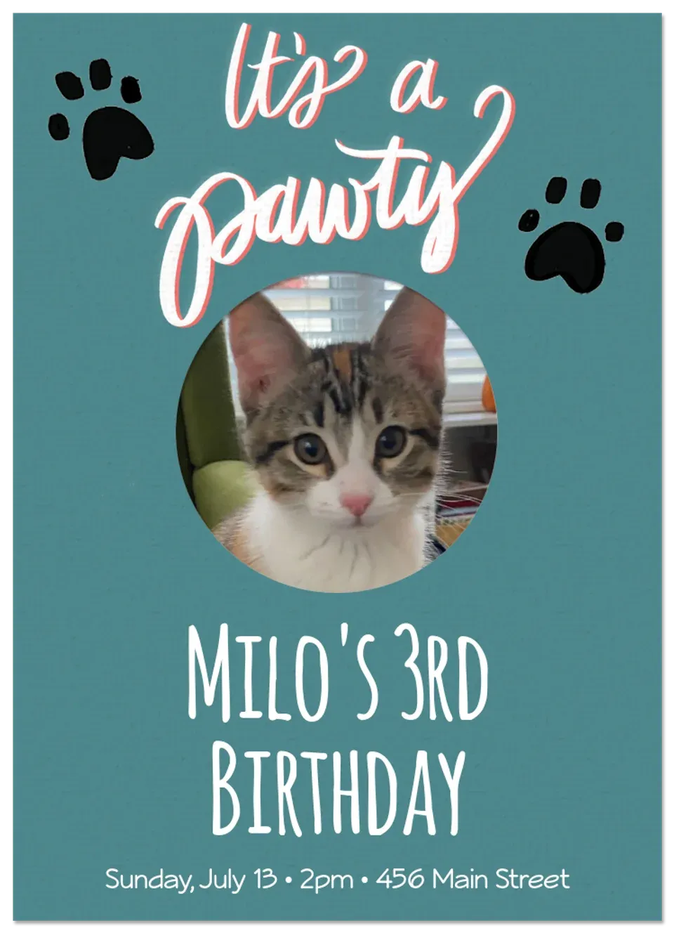 Cat Birthday card