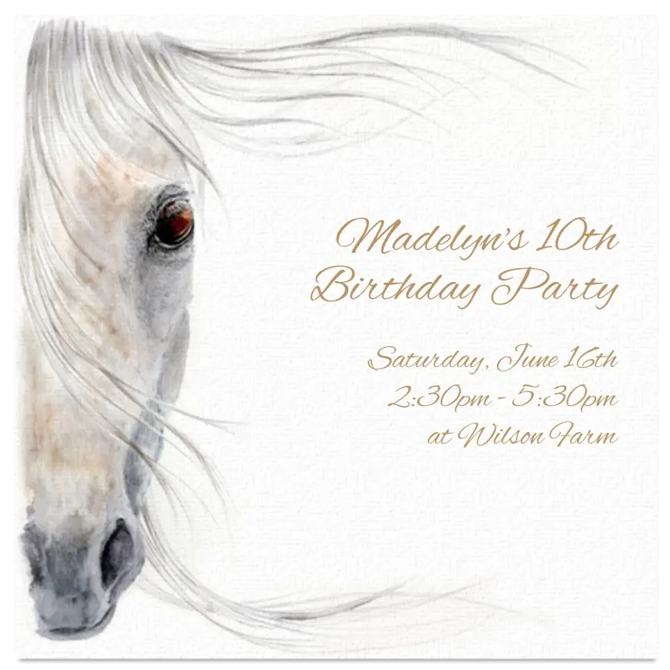 Beautiful Horse card image