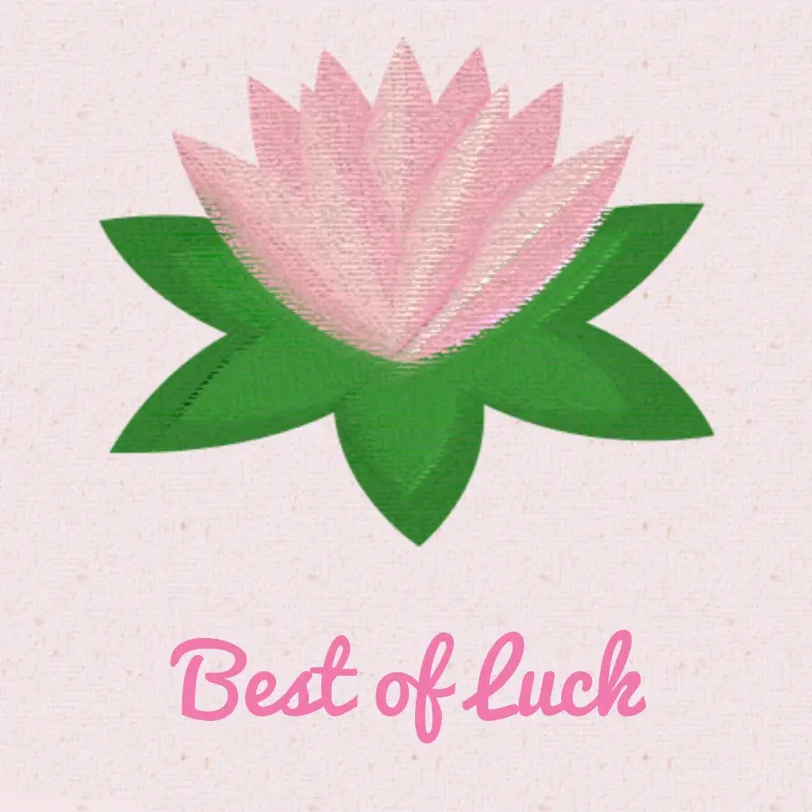 Water Lily card image