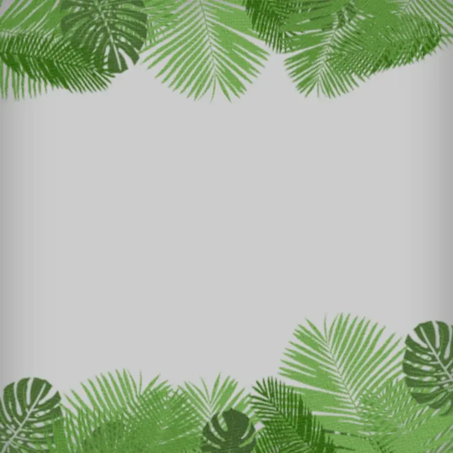 Pirate Jungle Photo card image