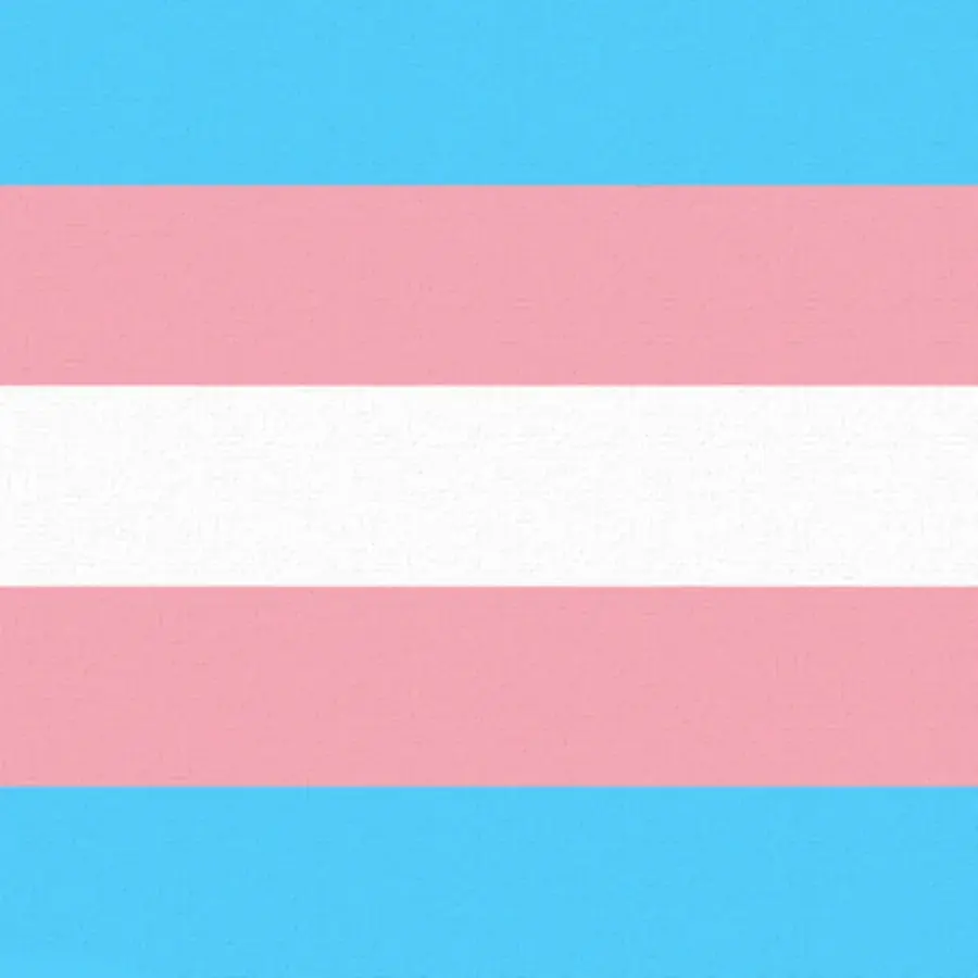 Transgender Day of Visibility | Mar 31 card image