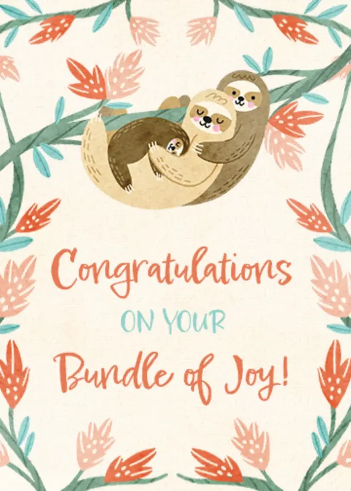 Baby Sloth card image