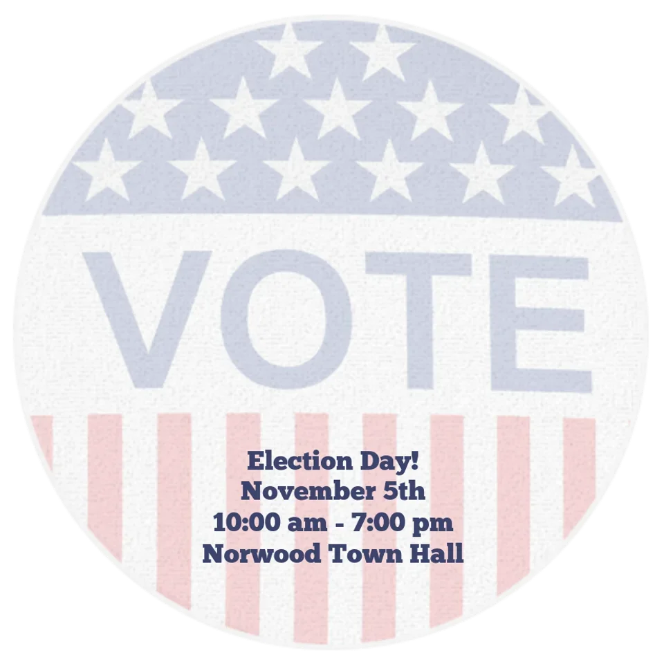 Your Vote Counts card image