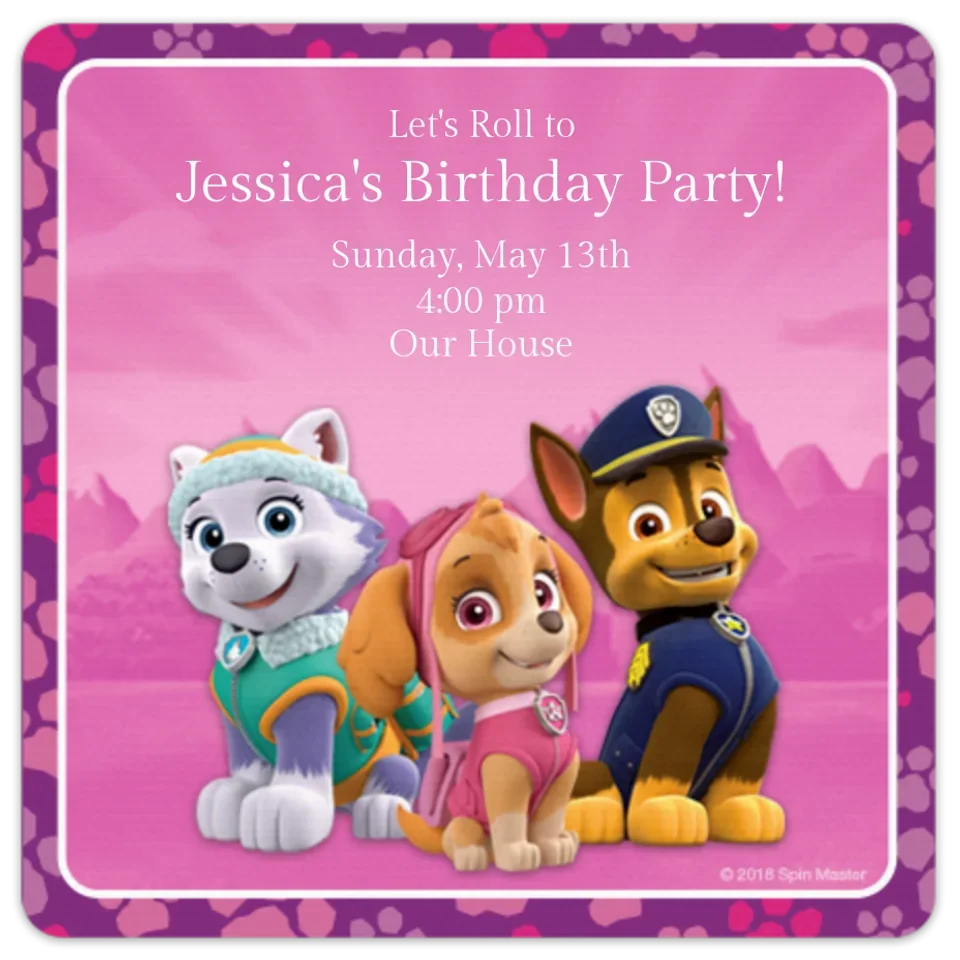 PAW Patrol Skye & Friends card image