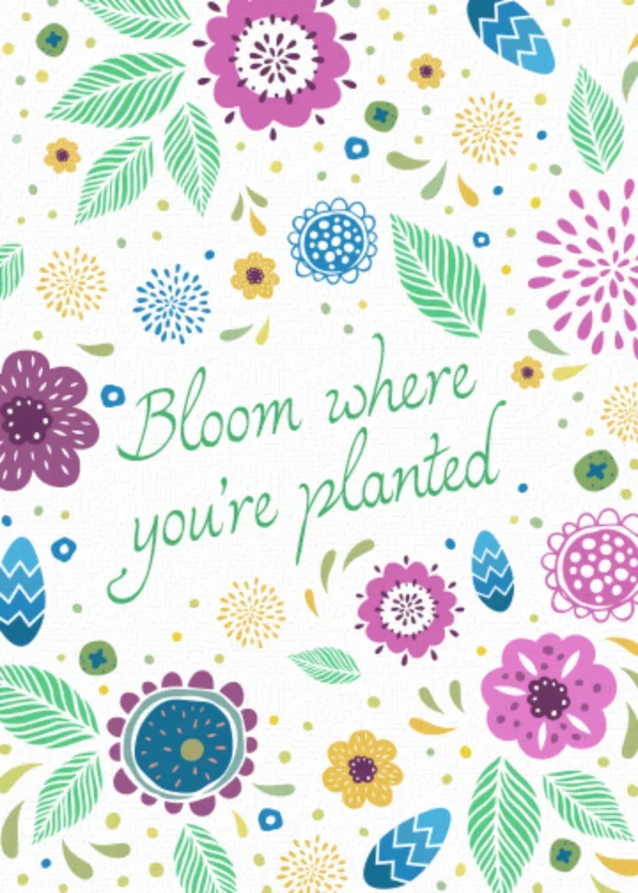 Bloom Where You're Planted card image