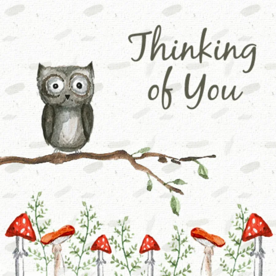 Worried Owl card image