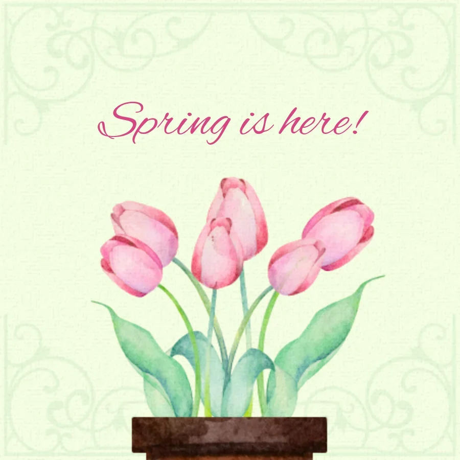 Spring Tulips card image