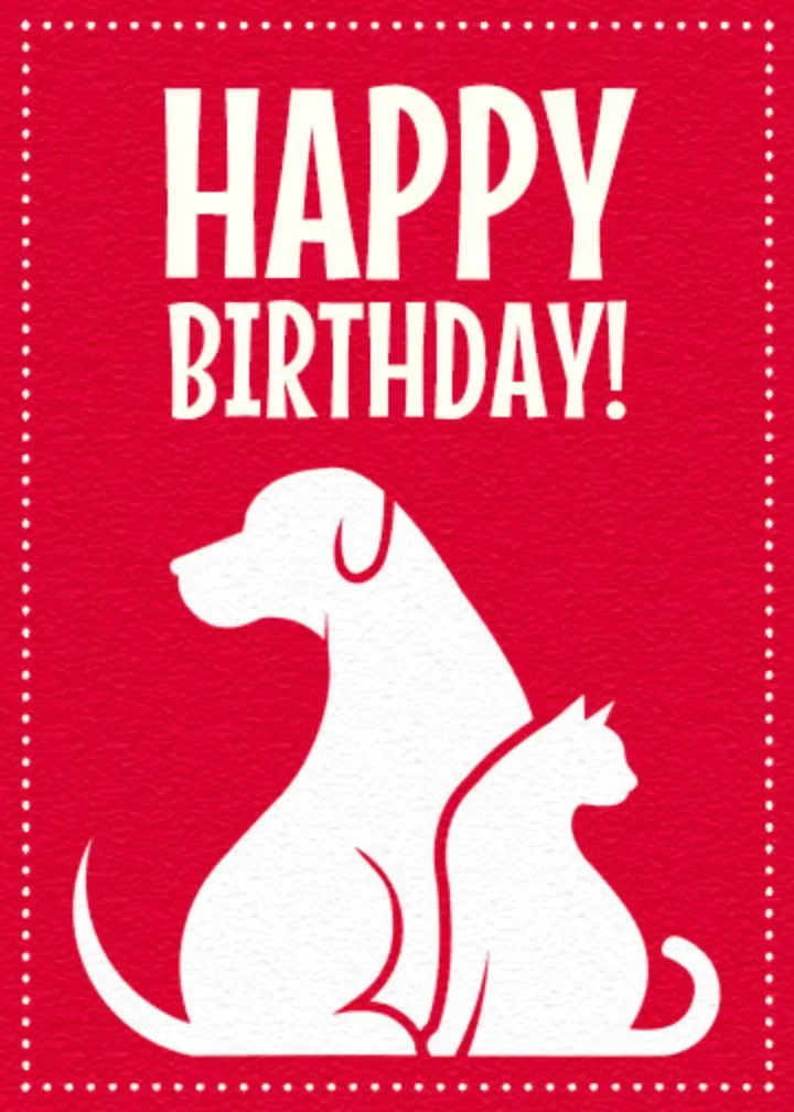 Dogs and Cats card image