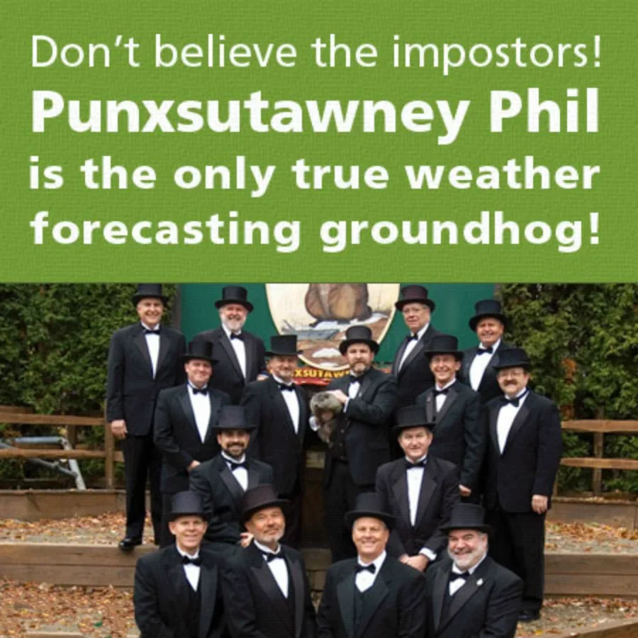 Forecasting Groundhog card image