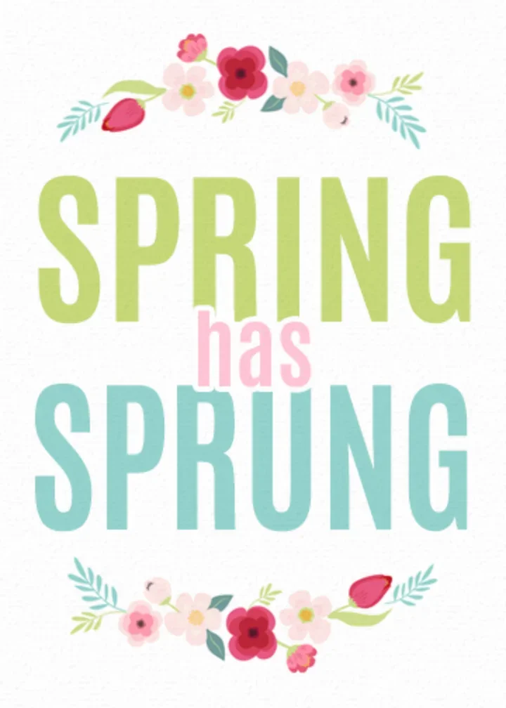 Spring Has Sprung card image