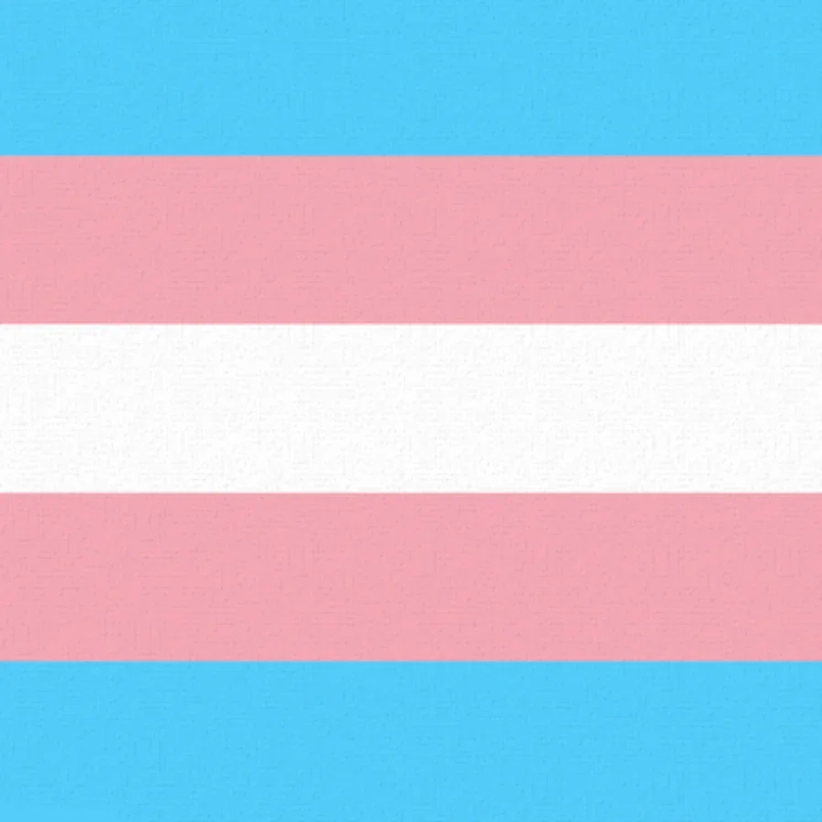 Transgender Day of Visibility | Mar 31 card image