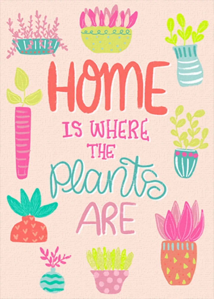 New Home Plants card image