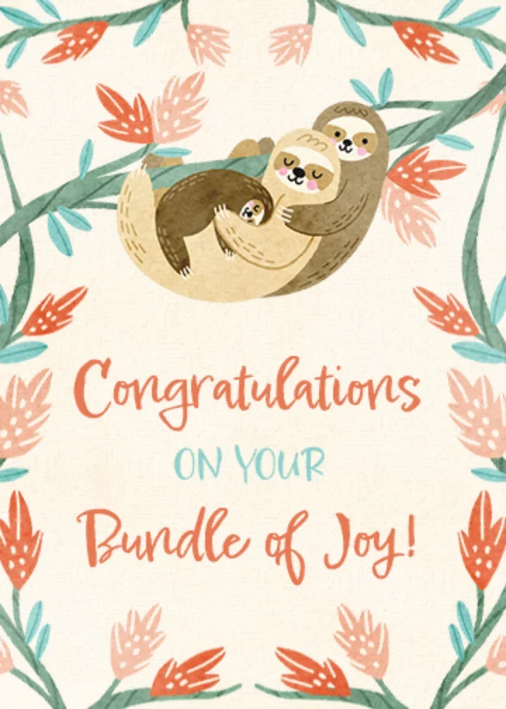 Baby Sloth card image