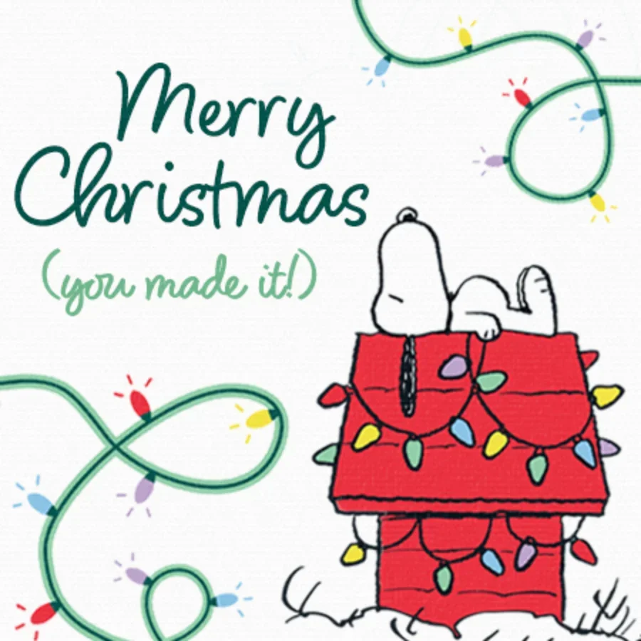 Peanuts | Shiny and Bright card image